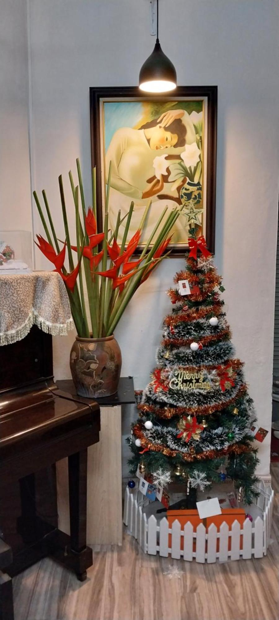 Da Tree Ở trọ