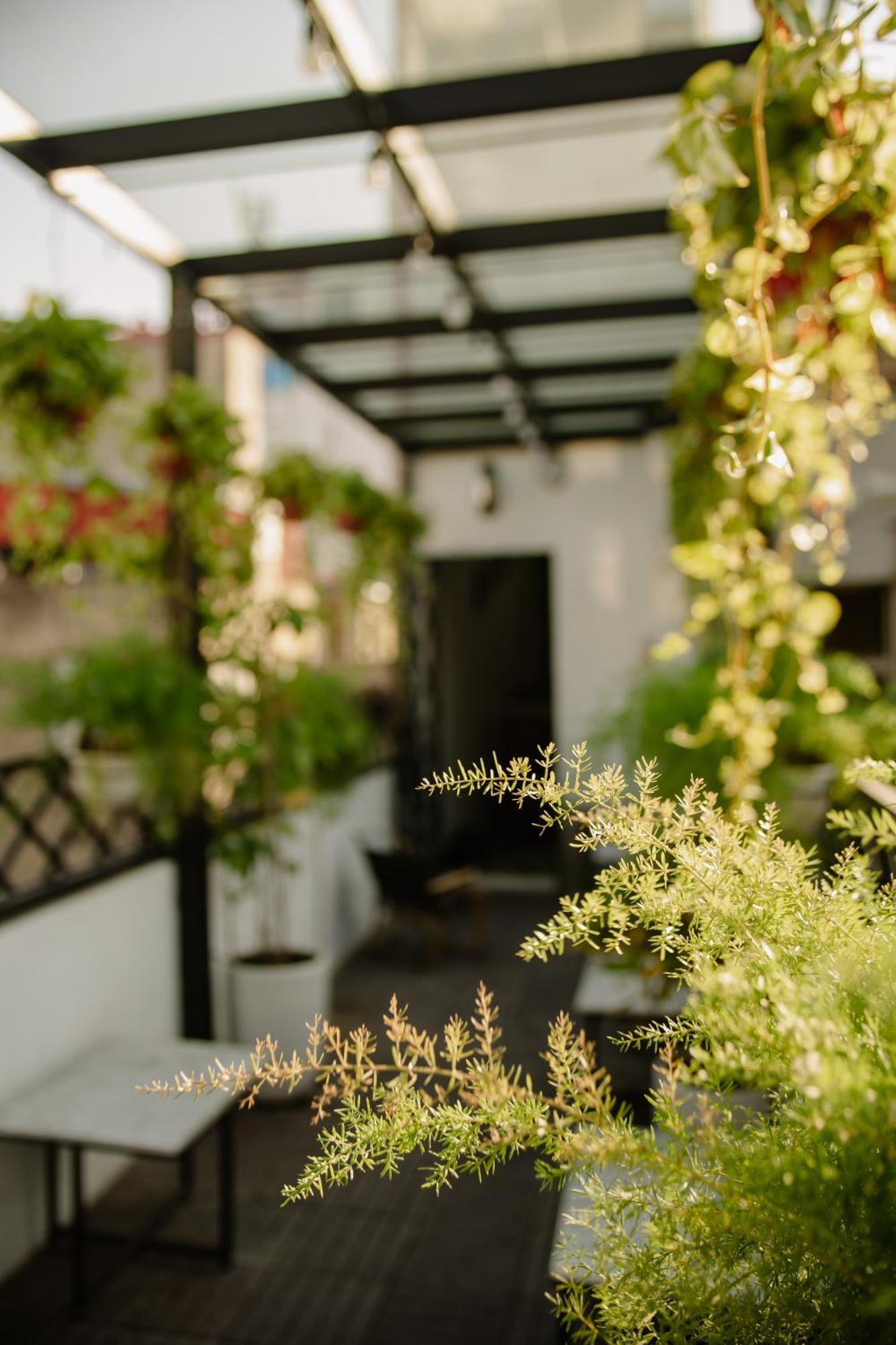 Lanha -