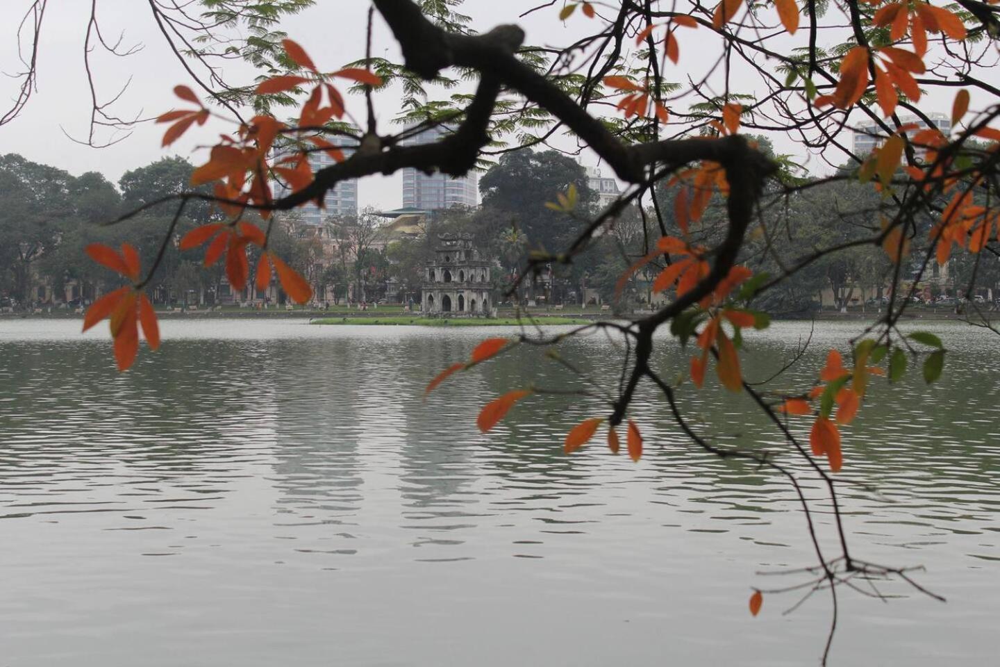 Homestay Location 3-4-5 Bedrooms House In Centre Of Ha Noi - Clean, Cozy And Private - The Tournesol Hanoi