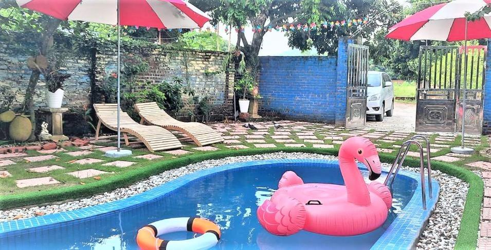 Guest house Happy Soc Son