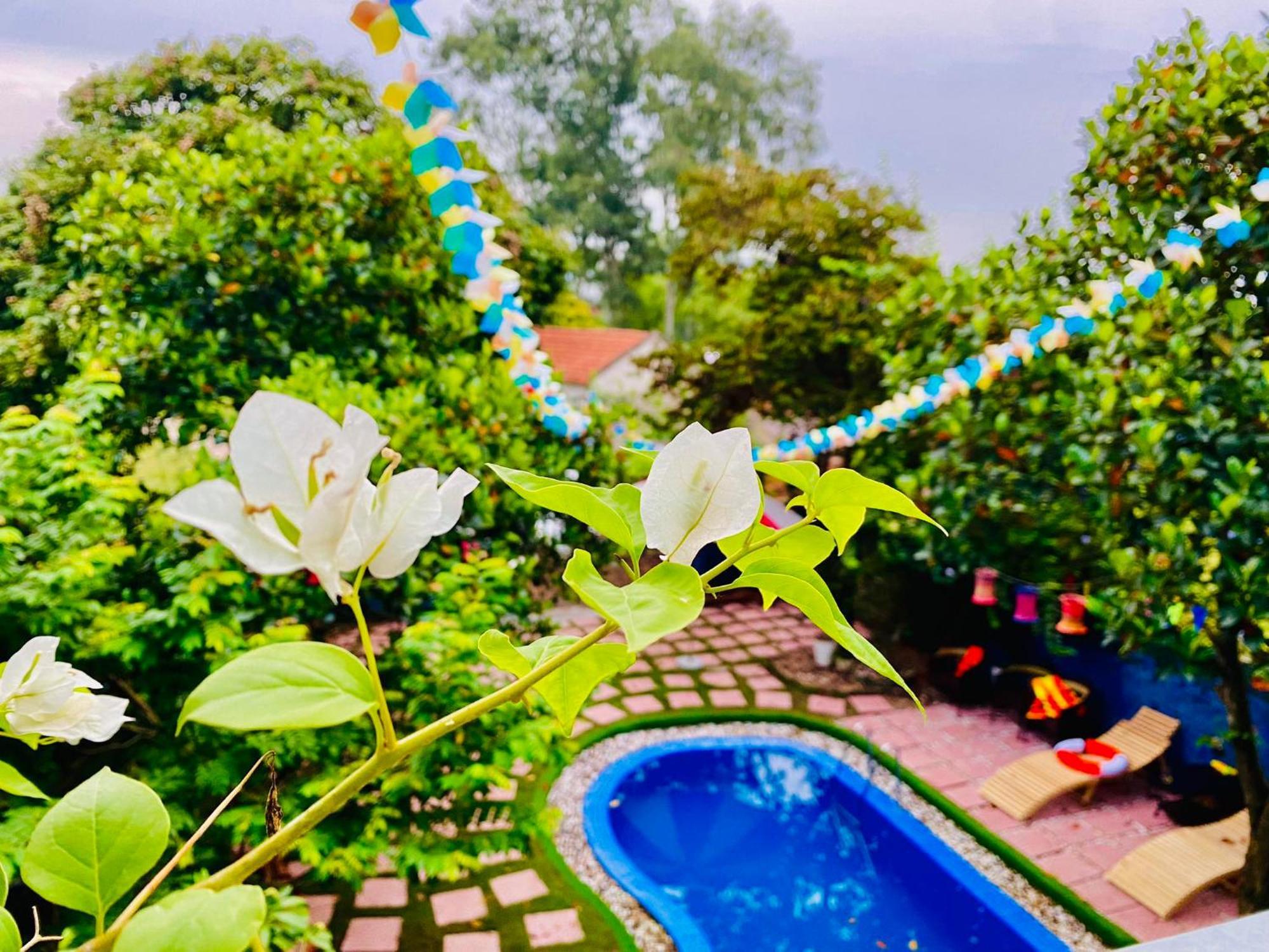 Guest house Happy Soc Son