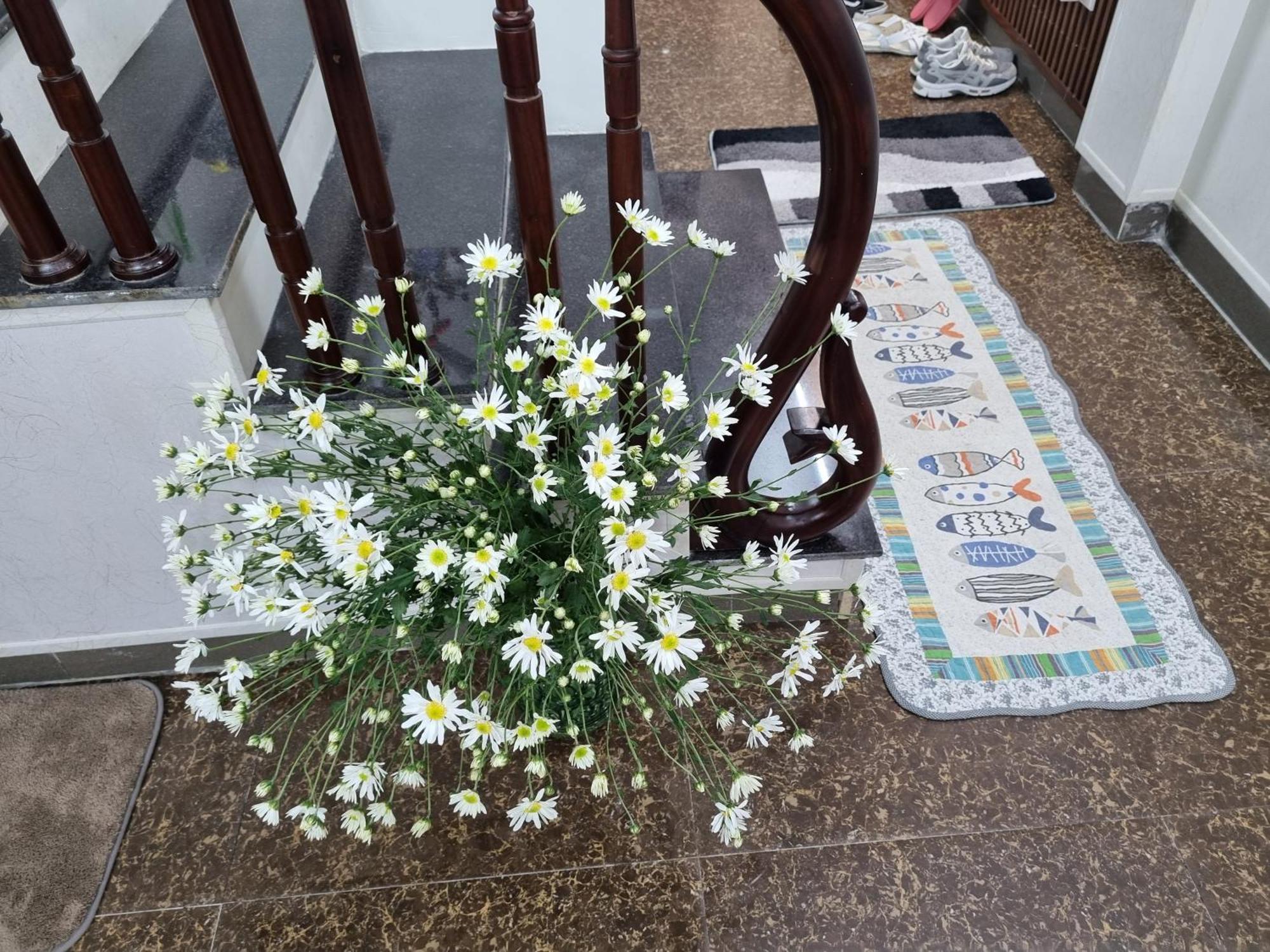 Homestay May's Hanoi