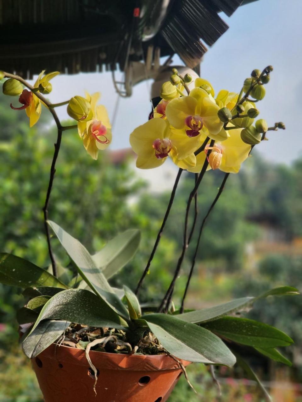 Byve Garden Chalet Hanoi