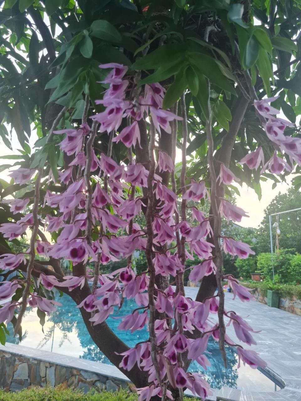 Chalé Byve Garden *