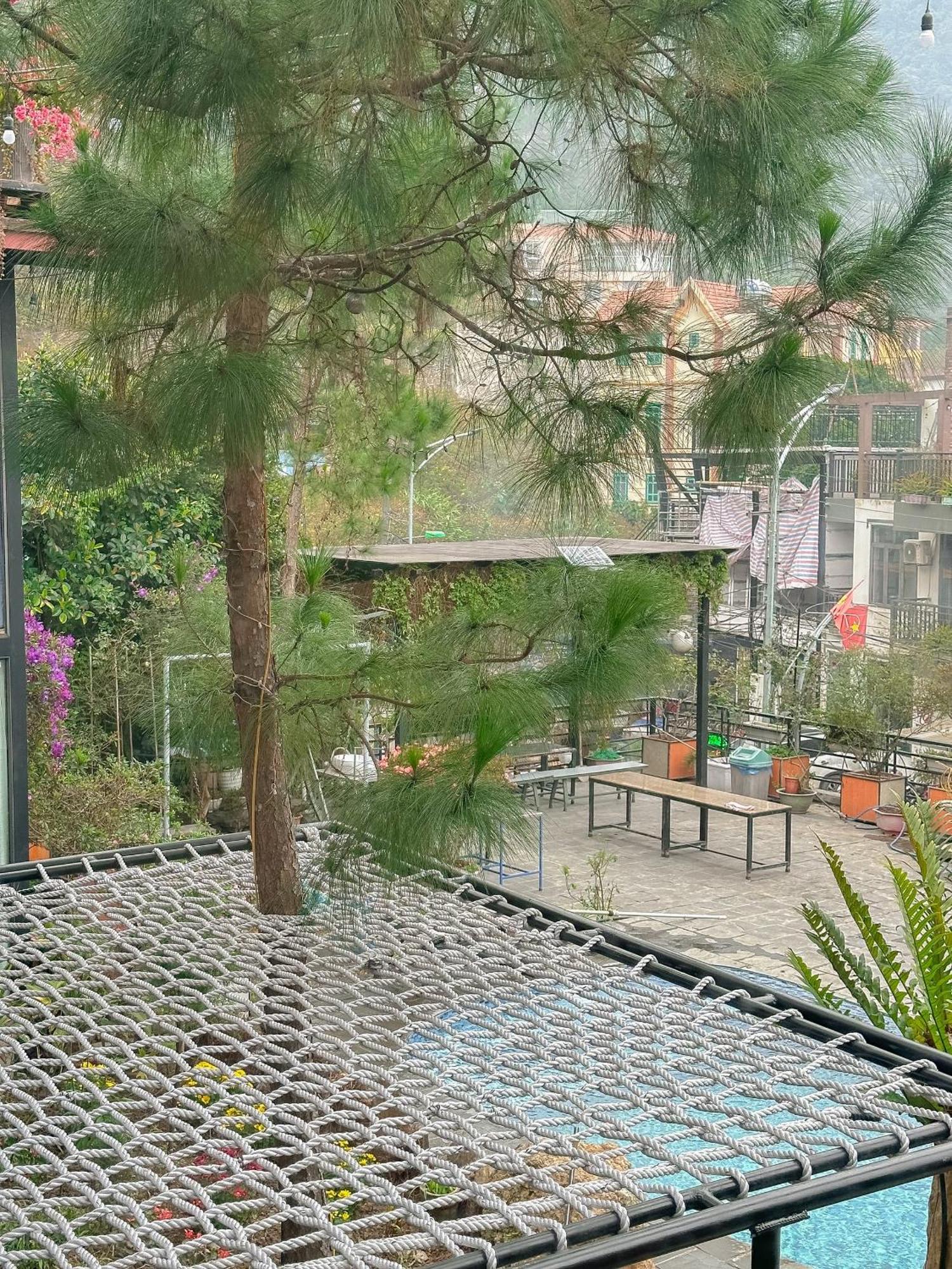 Bach Xanh House Venuestay Homestay Hanoi