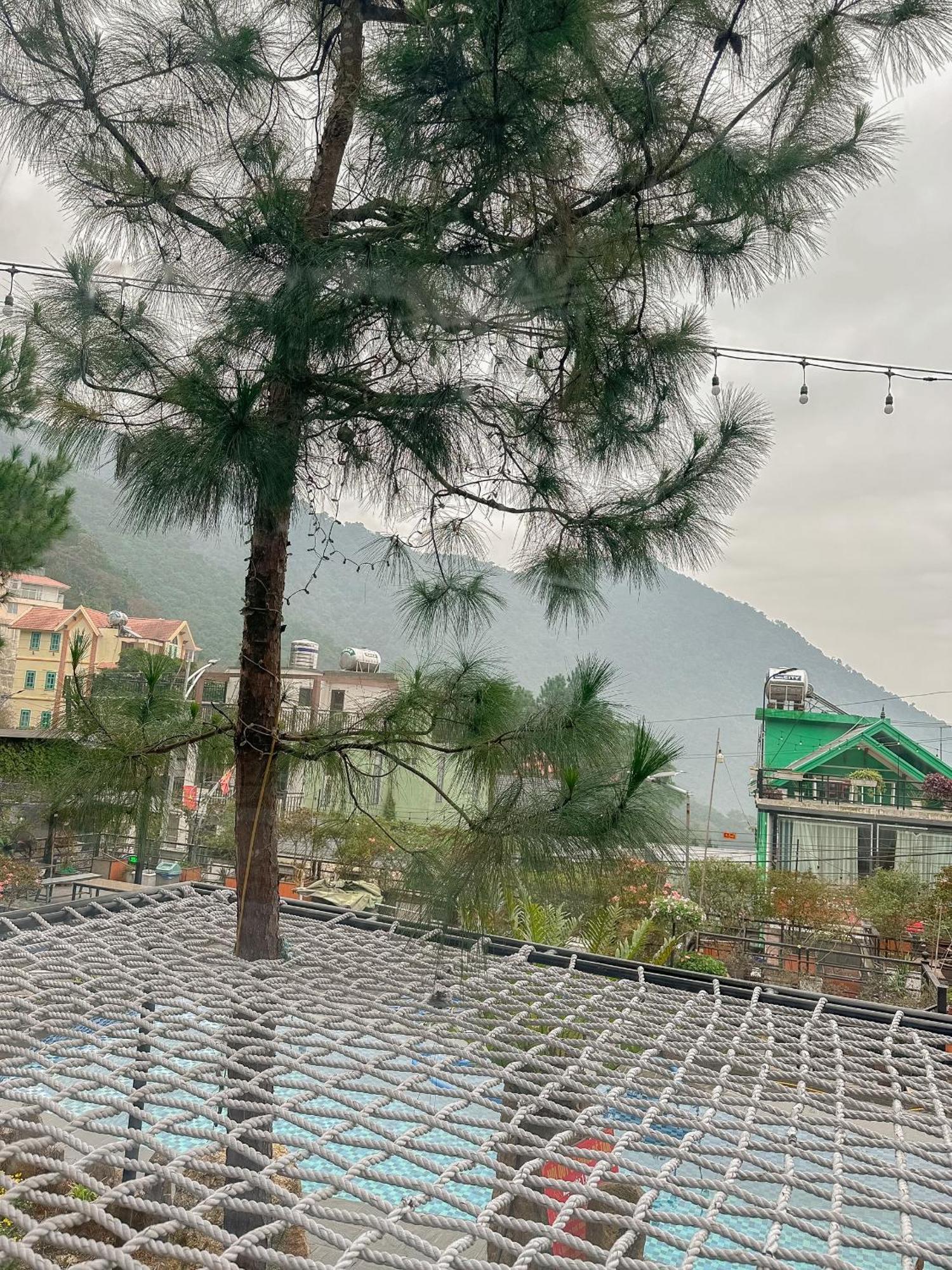 Homestay Bach Xanh House Venuestay