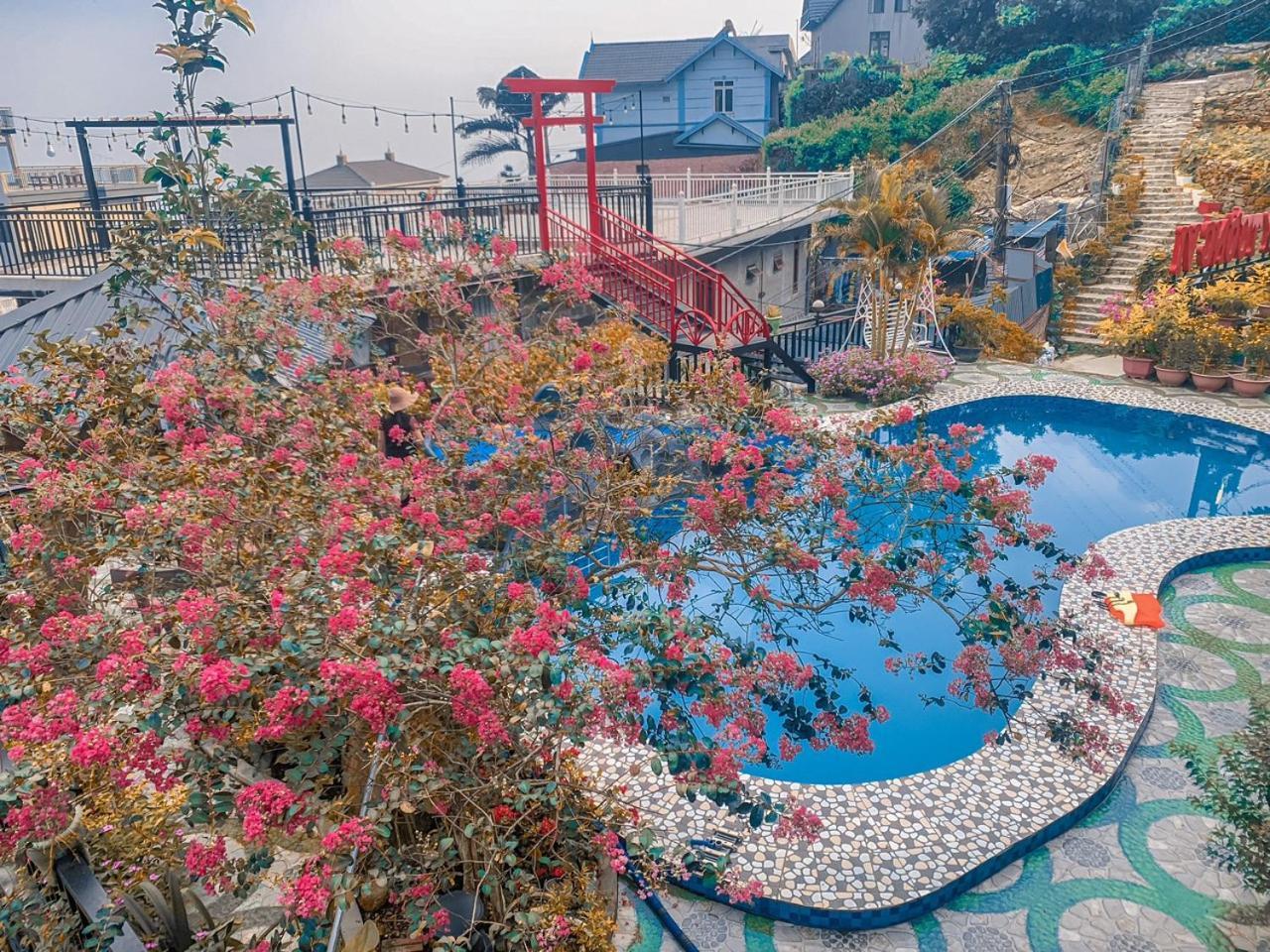 Tuong Vi - Venuestay Hanoi