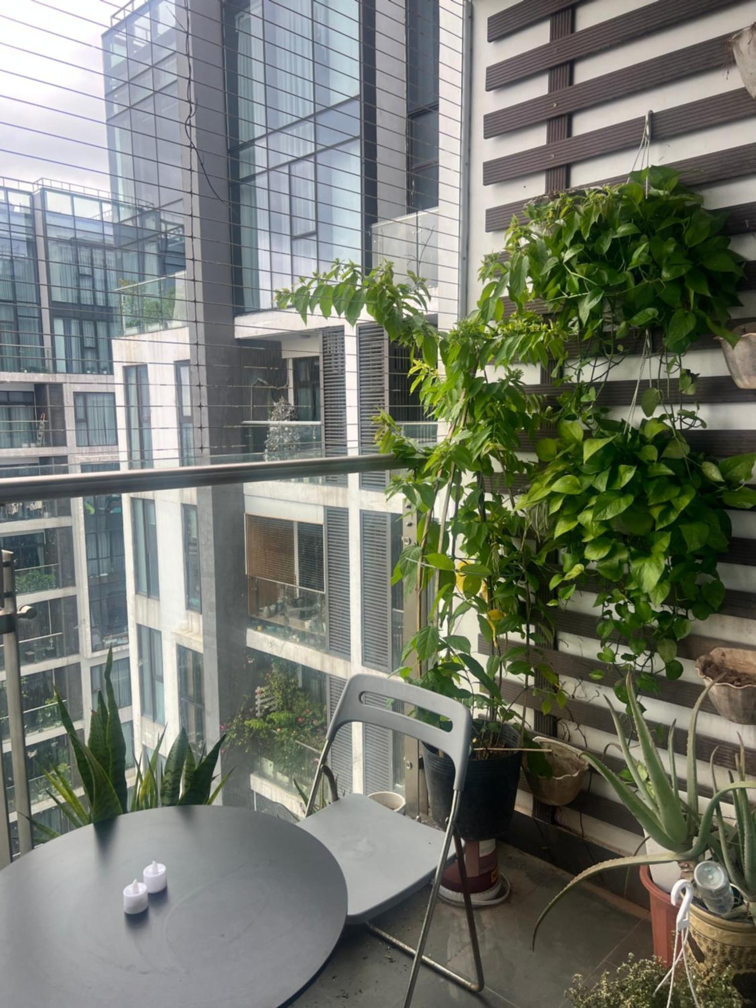 Sun Grand Ancora Hanoi
