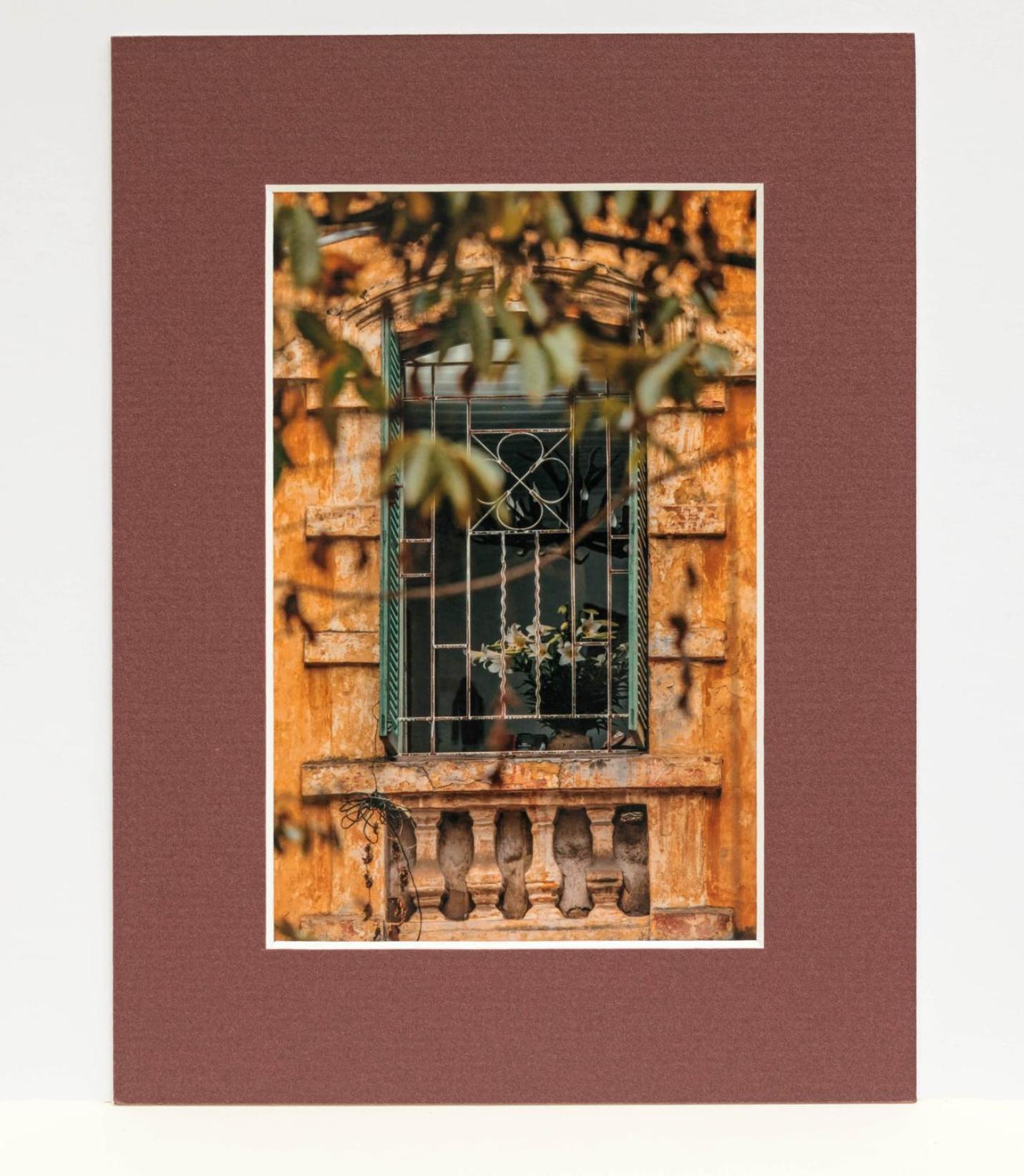 Hotel Ivy & - 24h