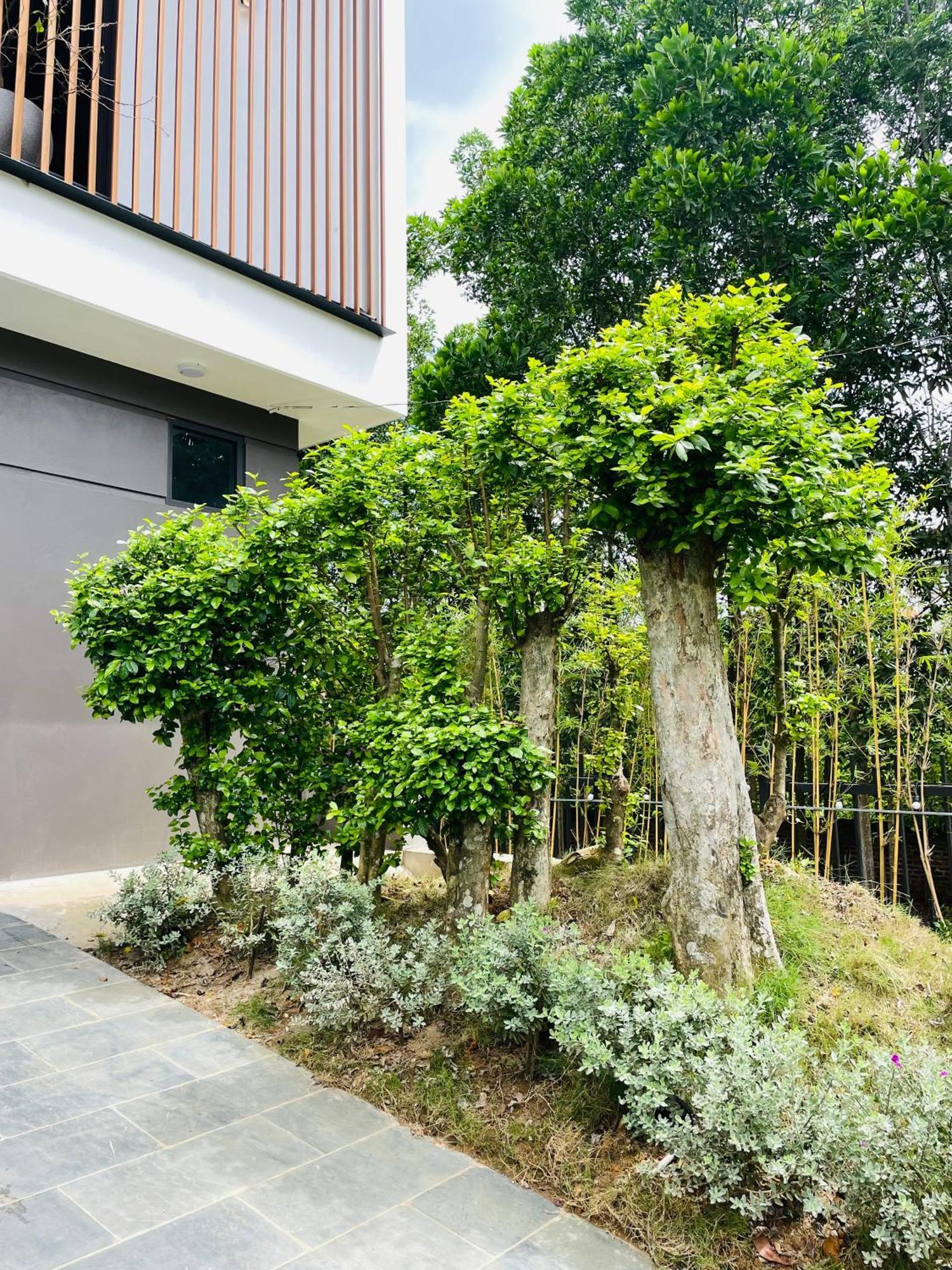 Lala Ba Vi 1.000m² - View Ho, Be Boi Rieng *