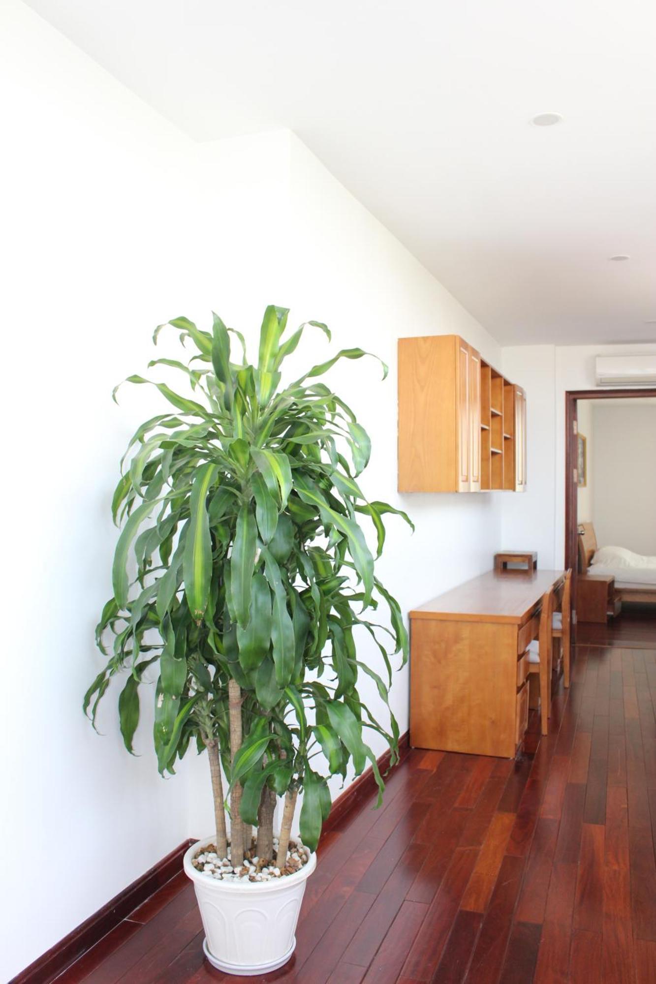 Davidduc's 5/41 Tay Ho Apartment