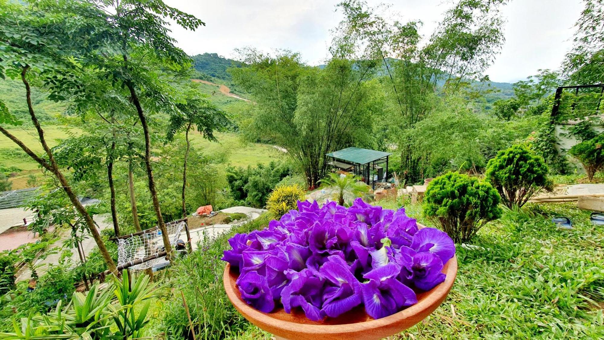 Doc Chill - Gan Ba Vi, View Nui, Gan Ho, 40ph Di Tu Trung Tam Ha Noi Biệt thự *