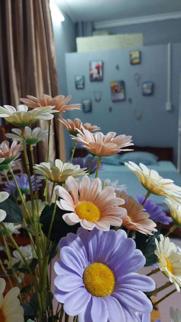 Alley Homestay_lieu Giai *