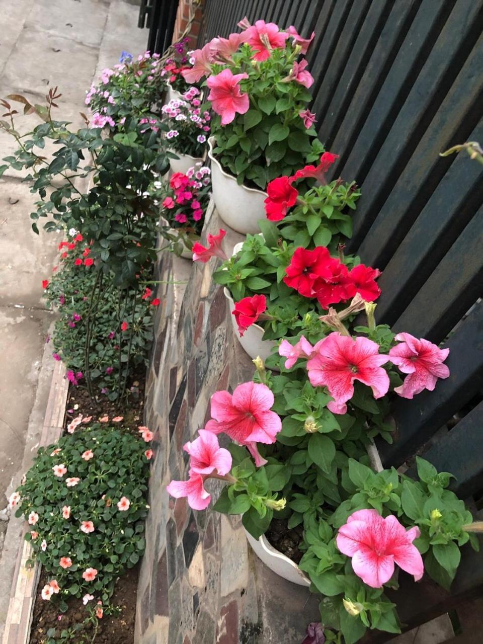 Homestay Teachers House