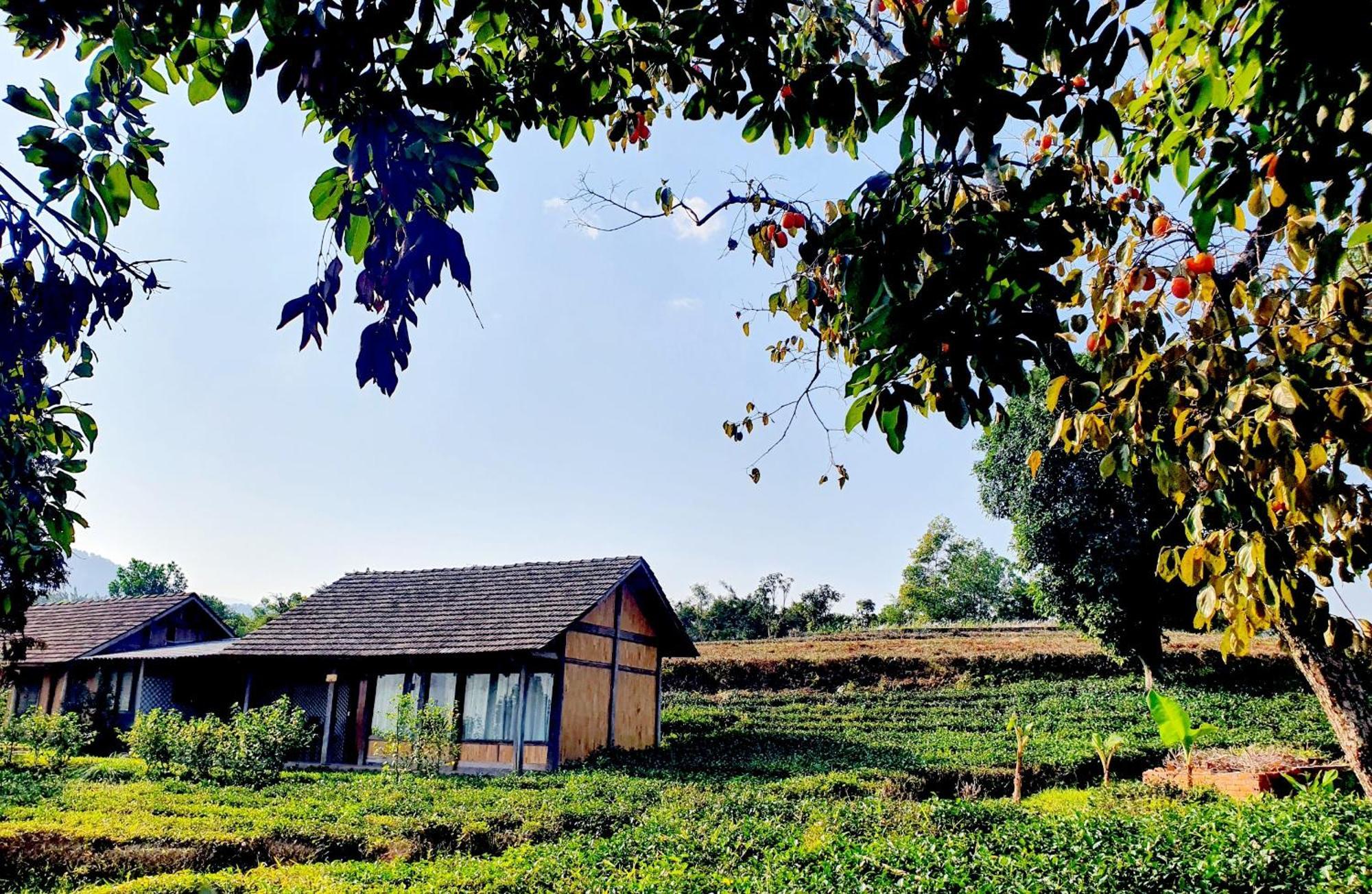 6nature Bavi Retreat Resort Hanoi