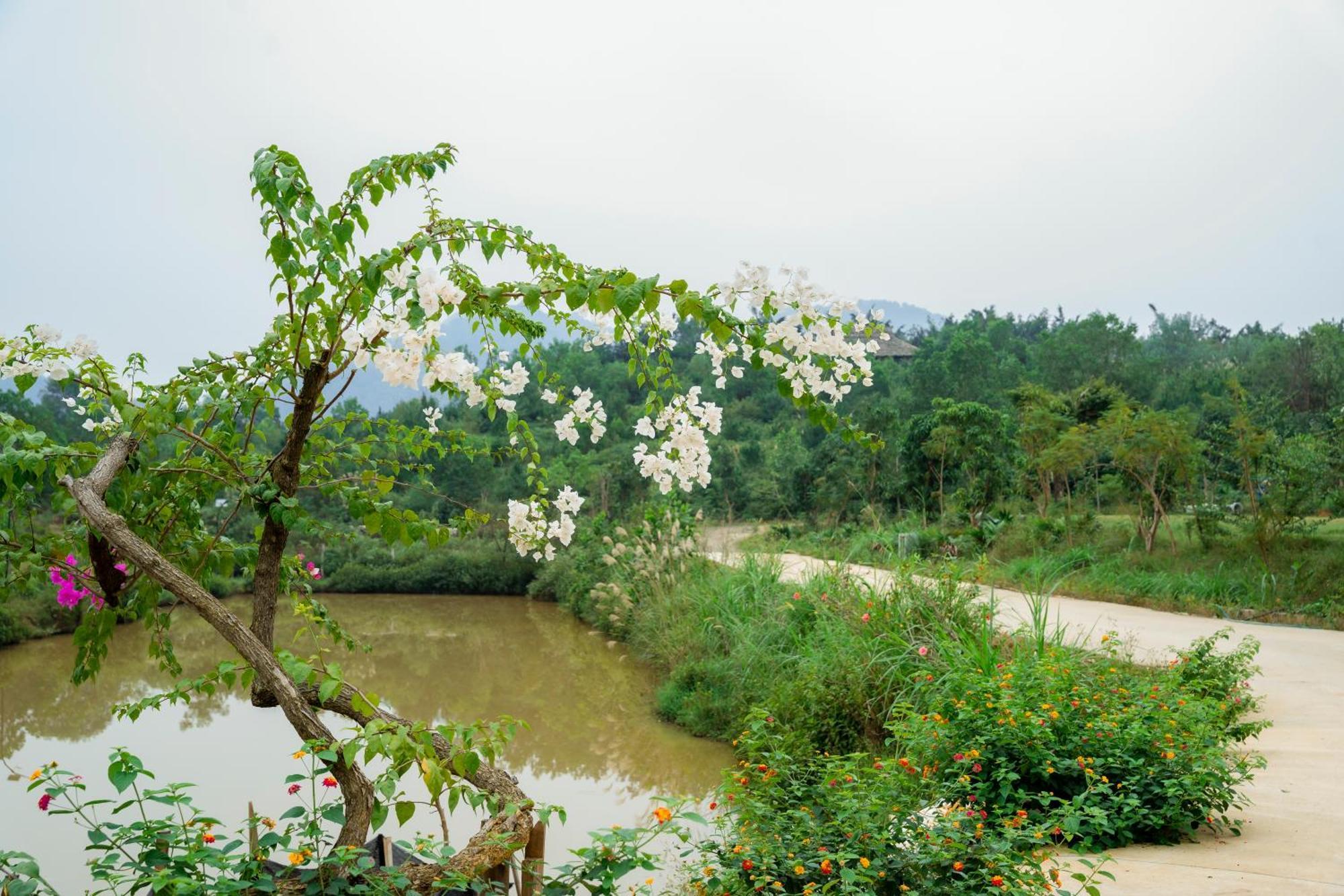Resort 6nature Bavi Retreat Hanoi
