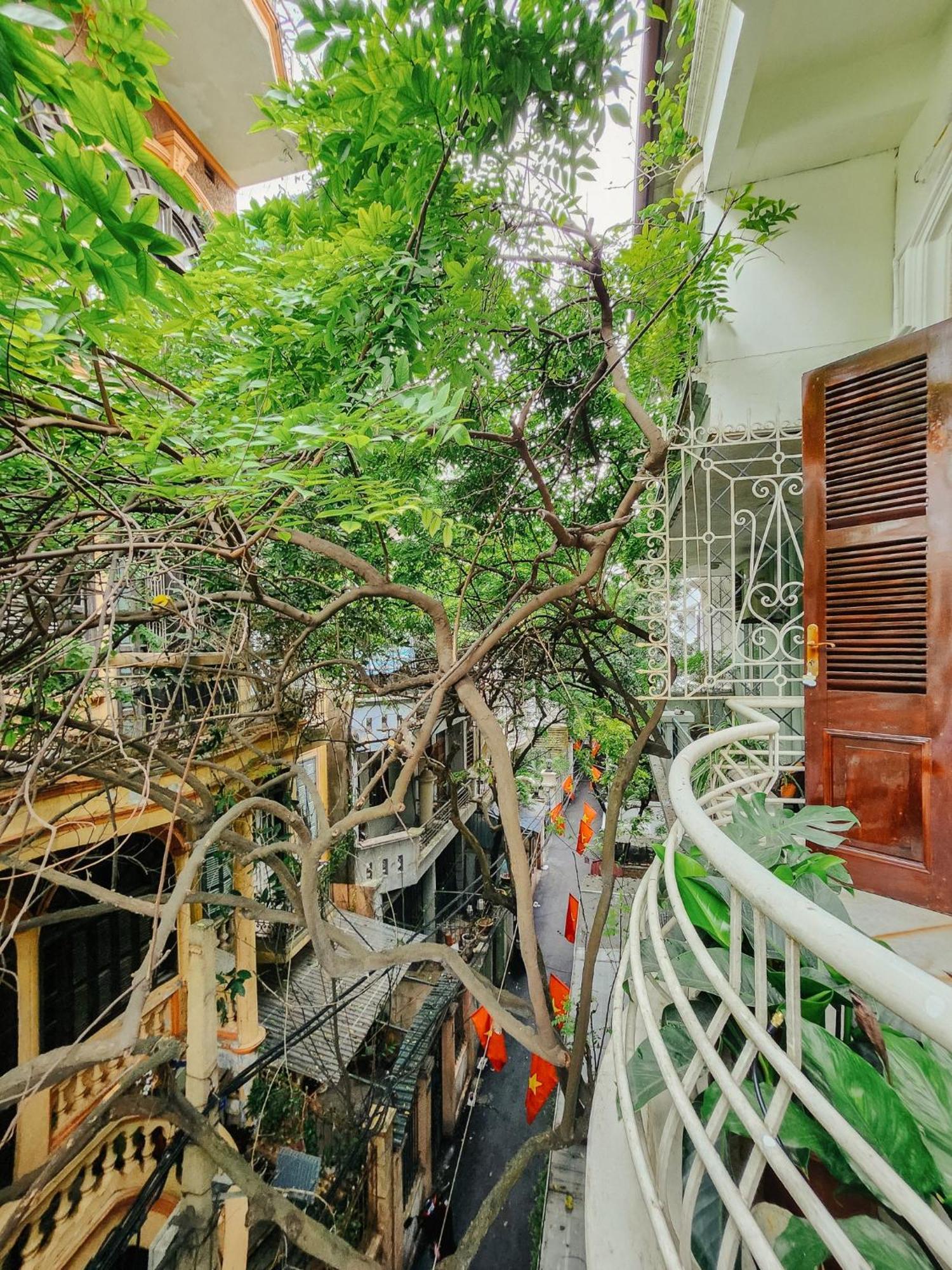 Freeroom / Old Quater 550m / Balcony Many Trees Hanoi