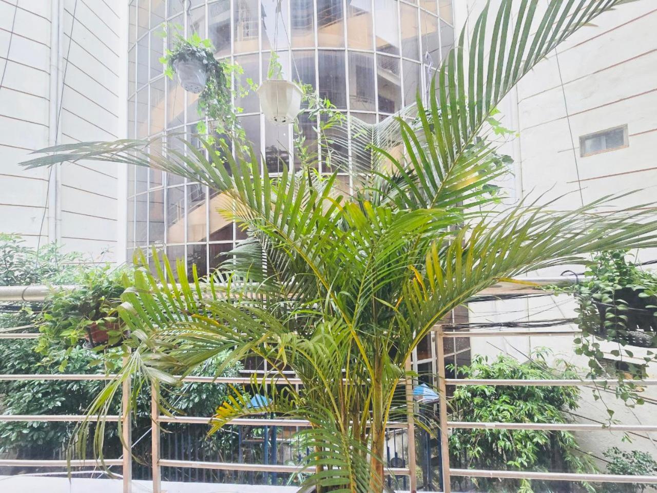 Oh Trendy Homes Pham Ngu Lao * Hanoi