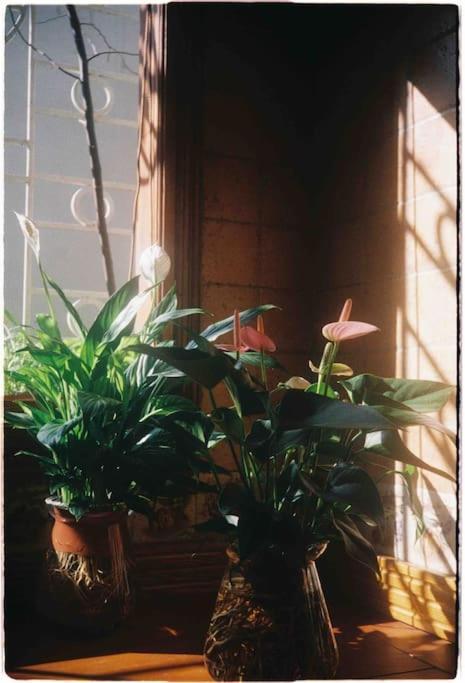 Guest house Pomelo - Sun's - View Hanoi