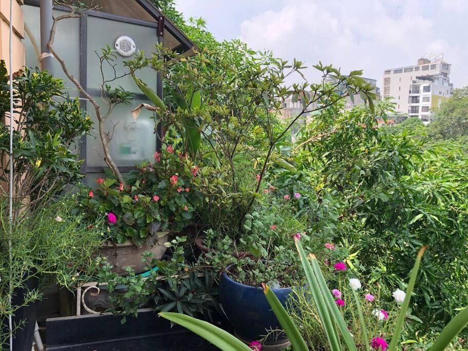Guest house Pomelo - Sun's - View *