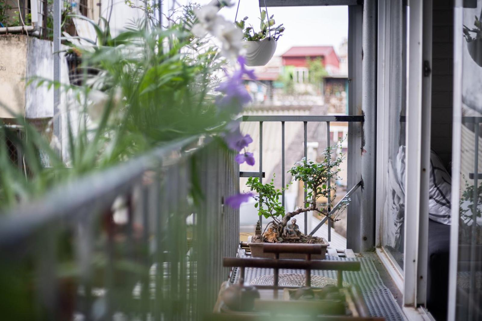 Ở trọ A19home - Free Breakfast & Travels *