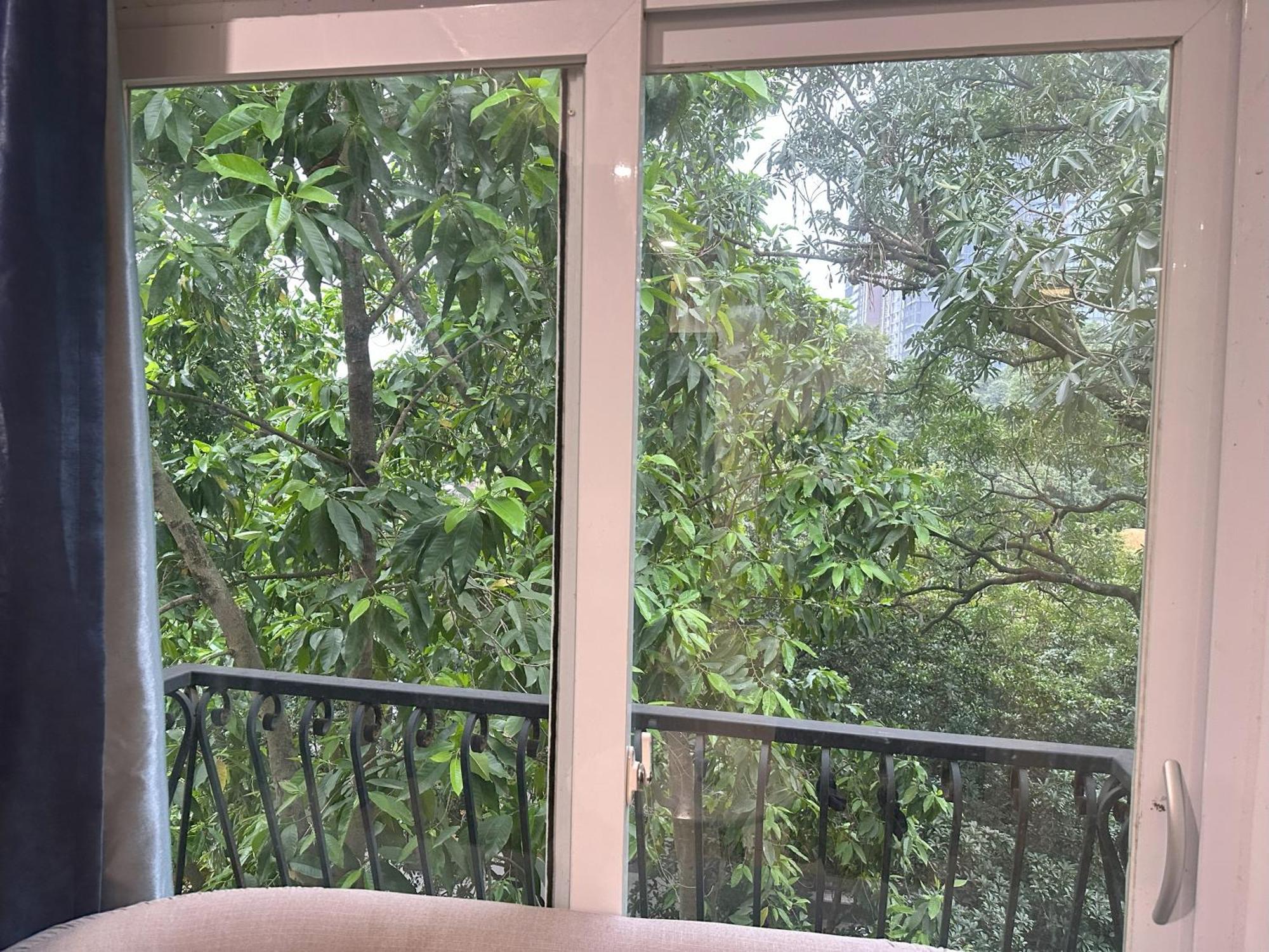 The Lakeview - West Lotus Hotel Hanoi
