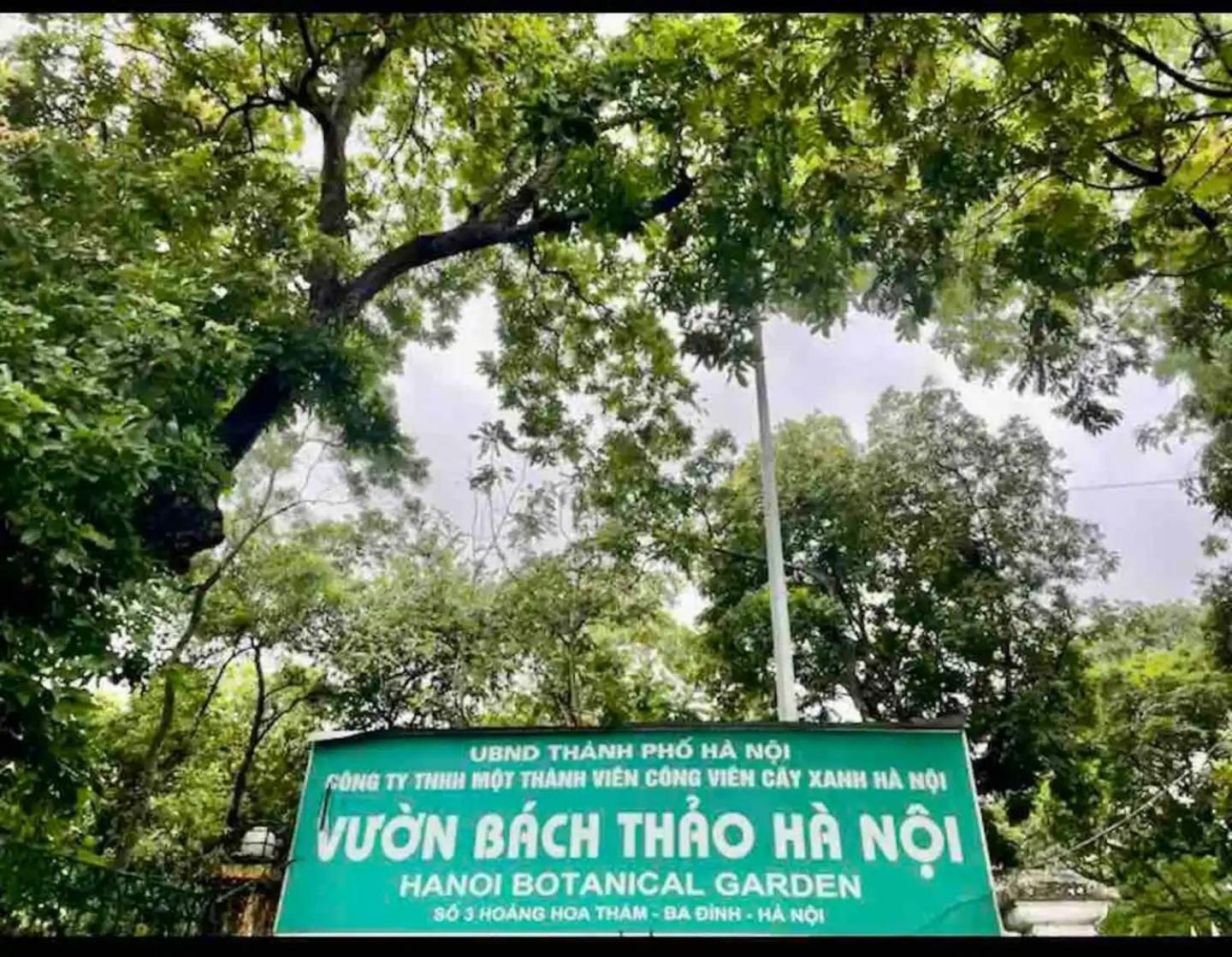 Homestay-kim Ma -giang Minh -giam Gia 20 Phan Tram *
