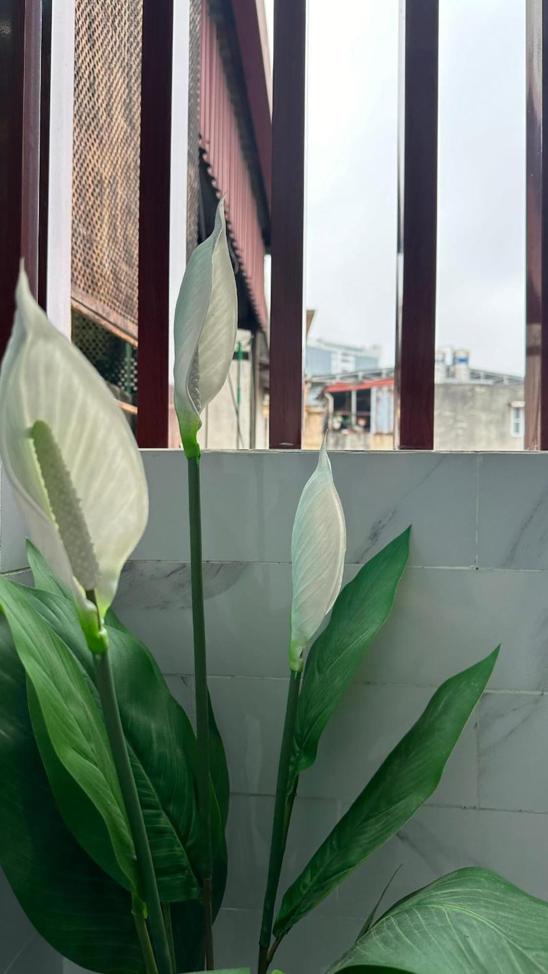 Homestay-kim Ma -giang Minh -giam Gia 20 Phan Tram Hanoi