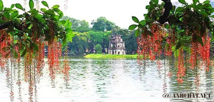 Homestay-kim Ma -giang Minh Hanoi
