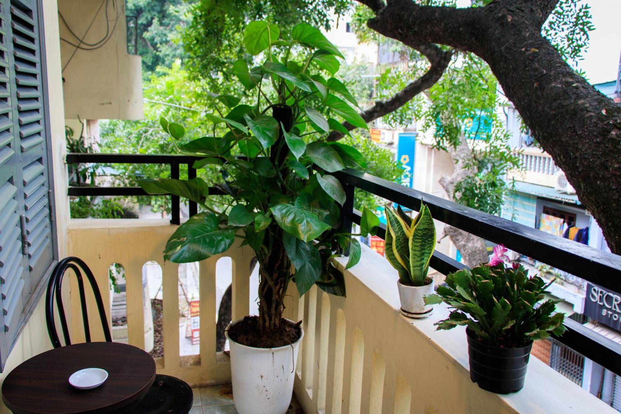 Family Homestay Hanoi