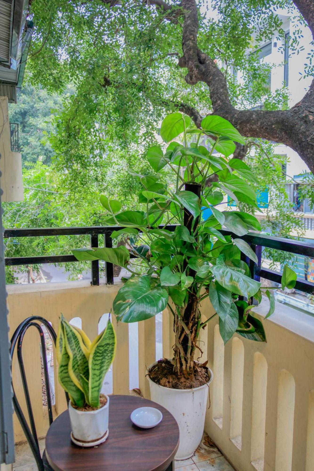 Homestay Family Hanoi