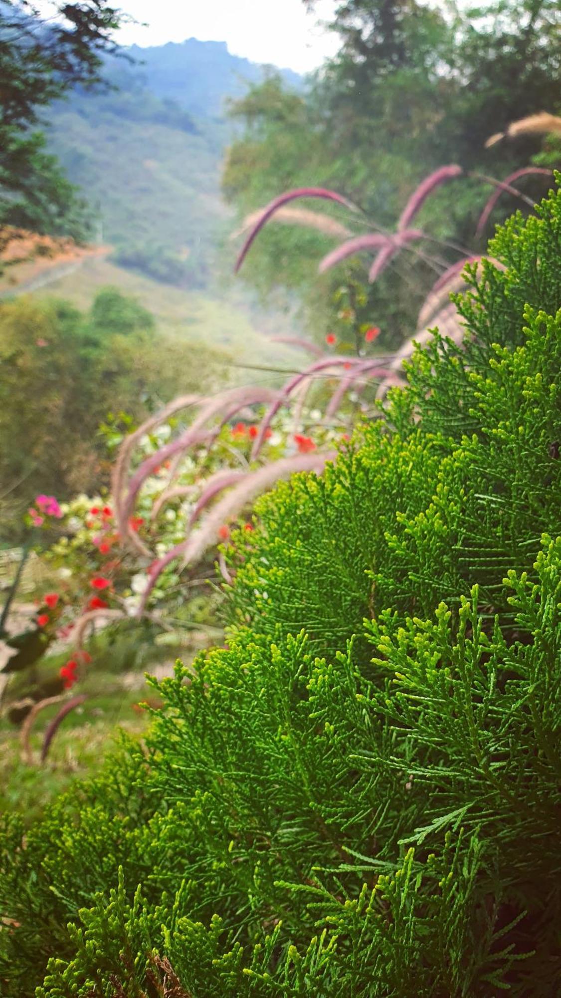 Biệt thự Doc Chill - Gan Ba Vi, View Nui, Gan Ho, 40ph Di Tu Trung Tam Ha Noi Hà Nội