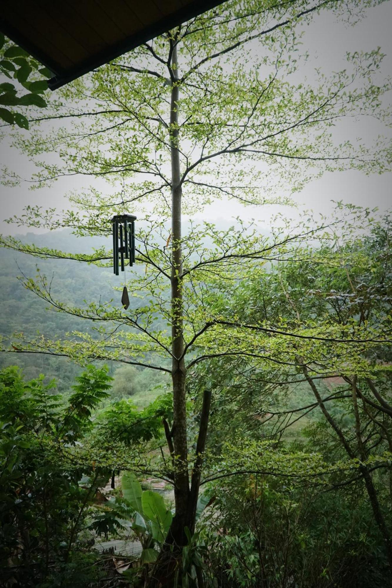 Doc Chill - Gan Ba Vi, View Nui, Gan Ho, 40ph Di Tu Trung Tam Ha Noi Biệt thự *