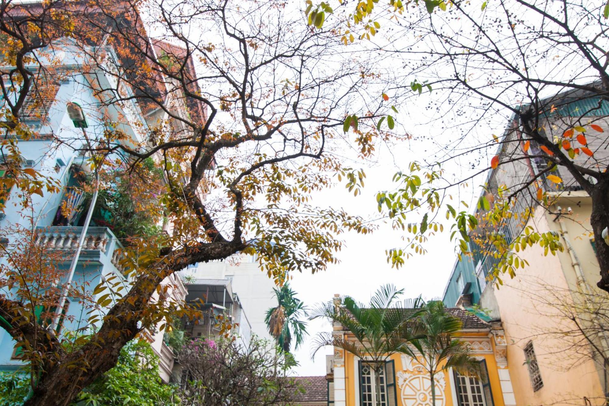 Khách sạn Golden Legend Diamond & Travel