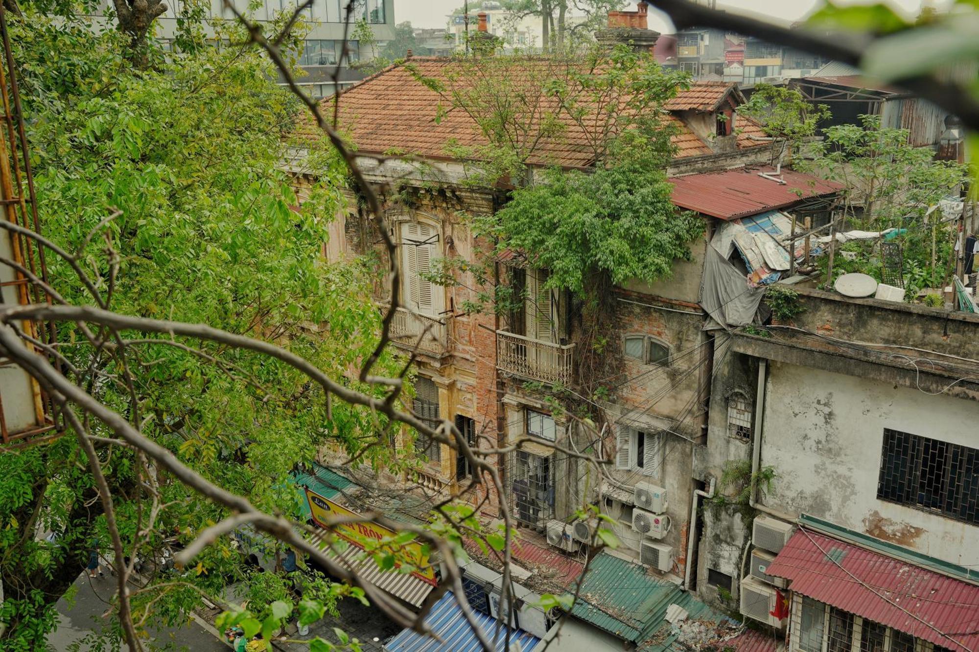 Bu Hoan Kiem