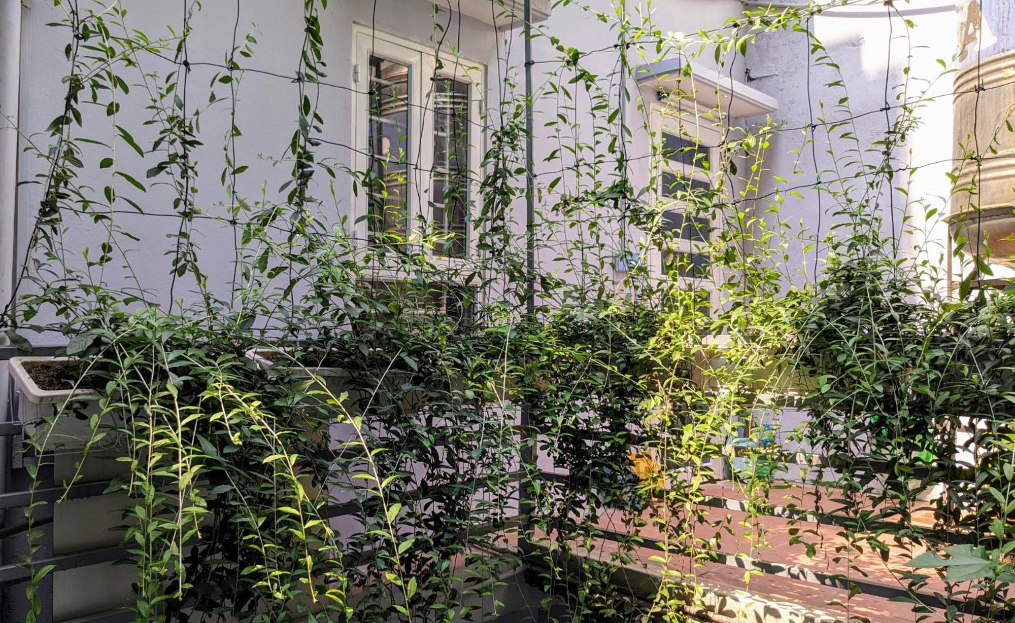 Apartment Goc Nho Ha Noi Hanoi