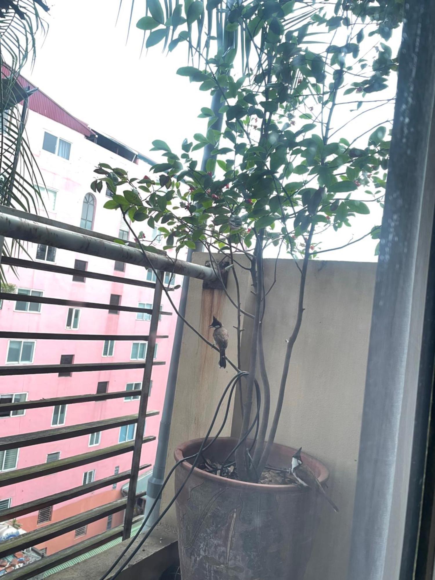 Residence-800m From Opera House Hanoi