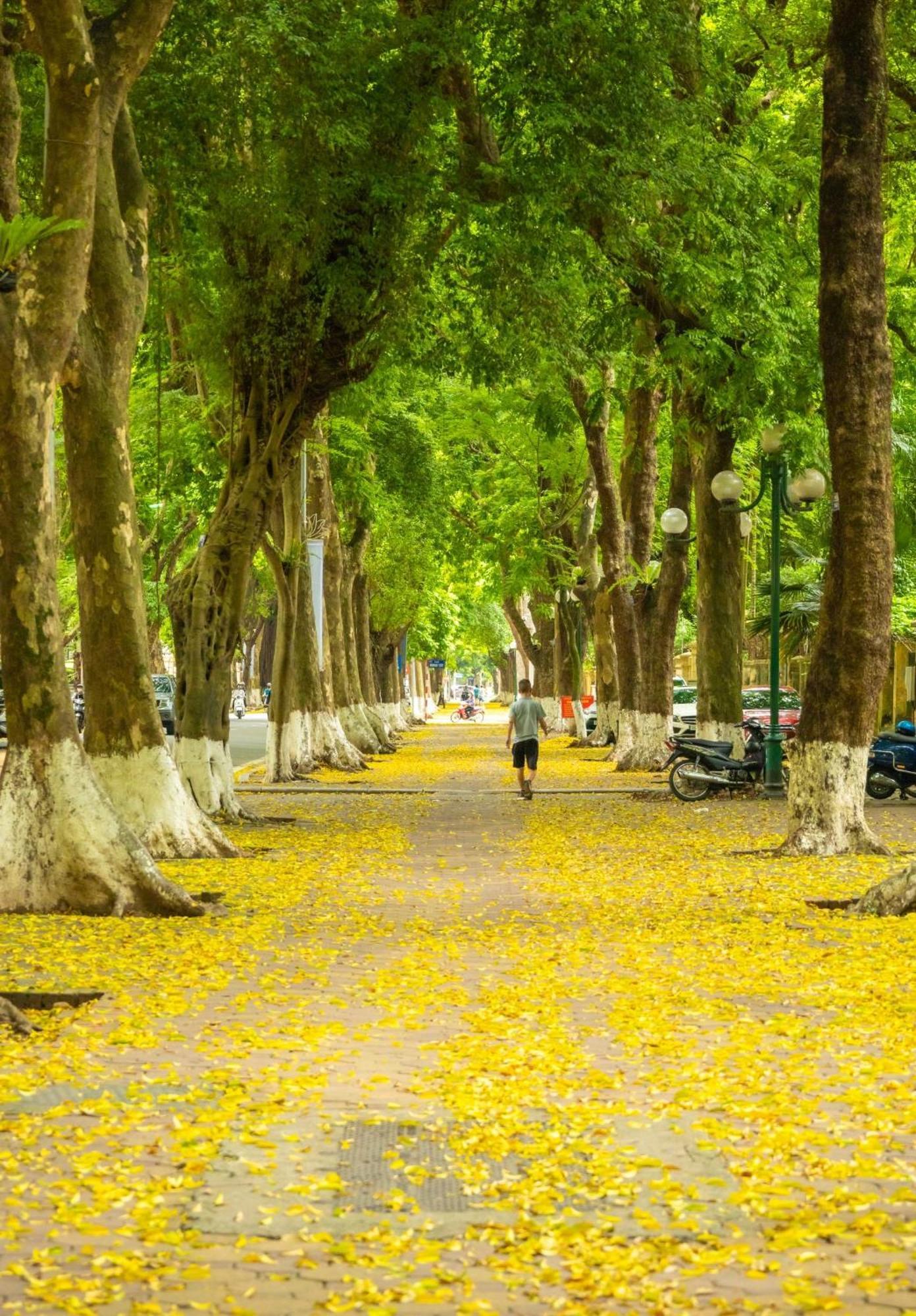 Apartment Lemon House Ngoc Thuy - Long Bien *