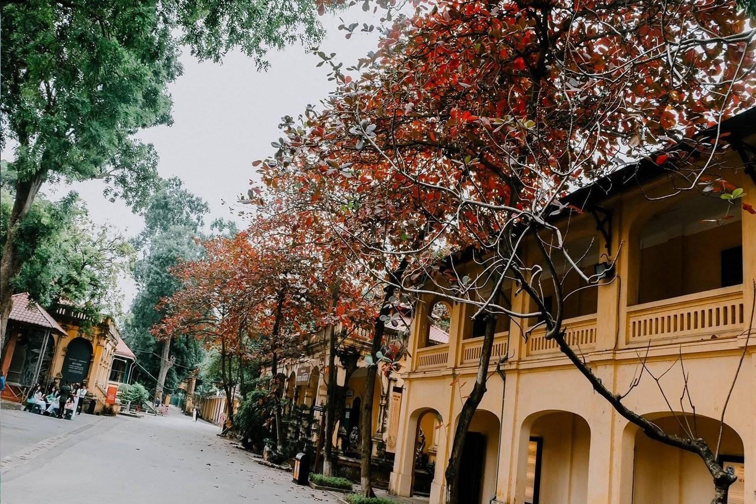 105 Lang Ha Apartment Hanoi