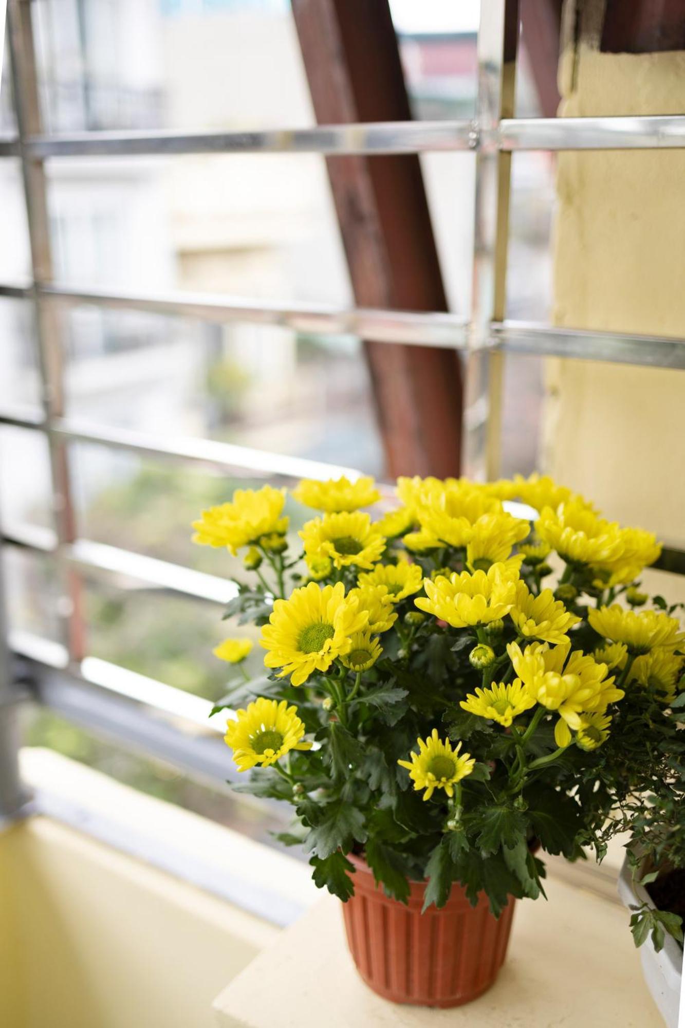 Sunny Garden Balcony In Old Quarter, Free Laundry, Free Water