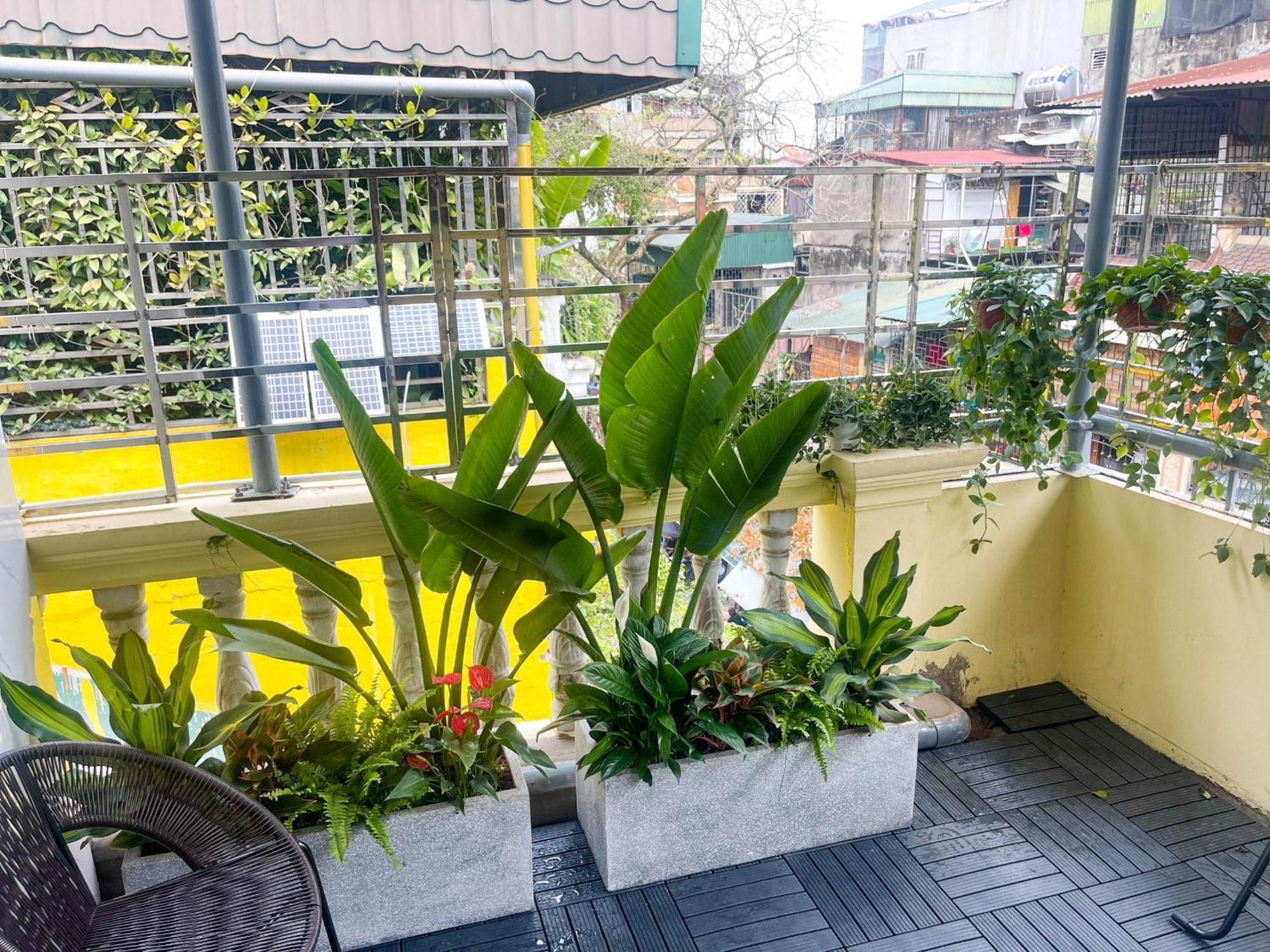 Homestay Sunny Garden Balcony In Old Quarter, Free Laundry, Free Water *