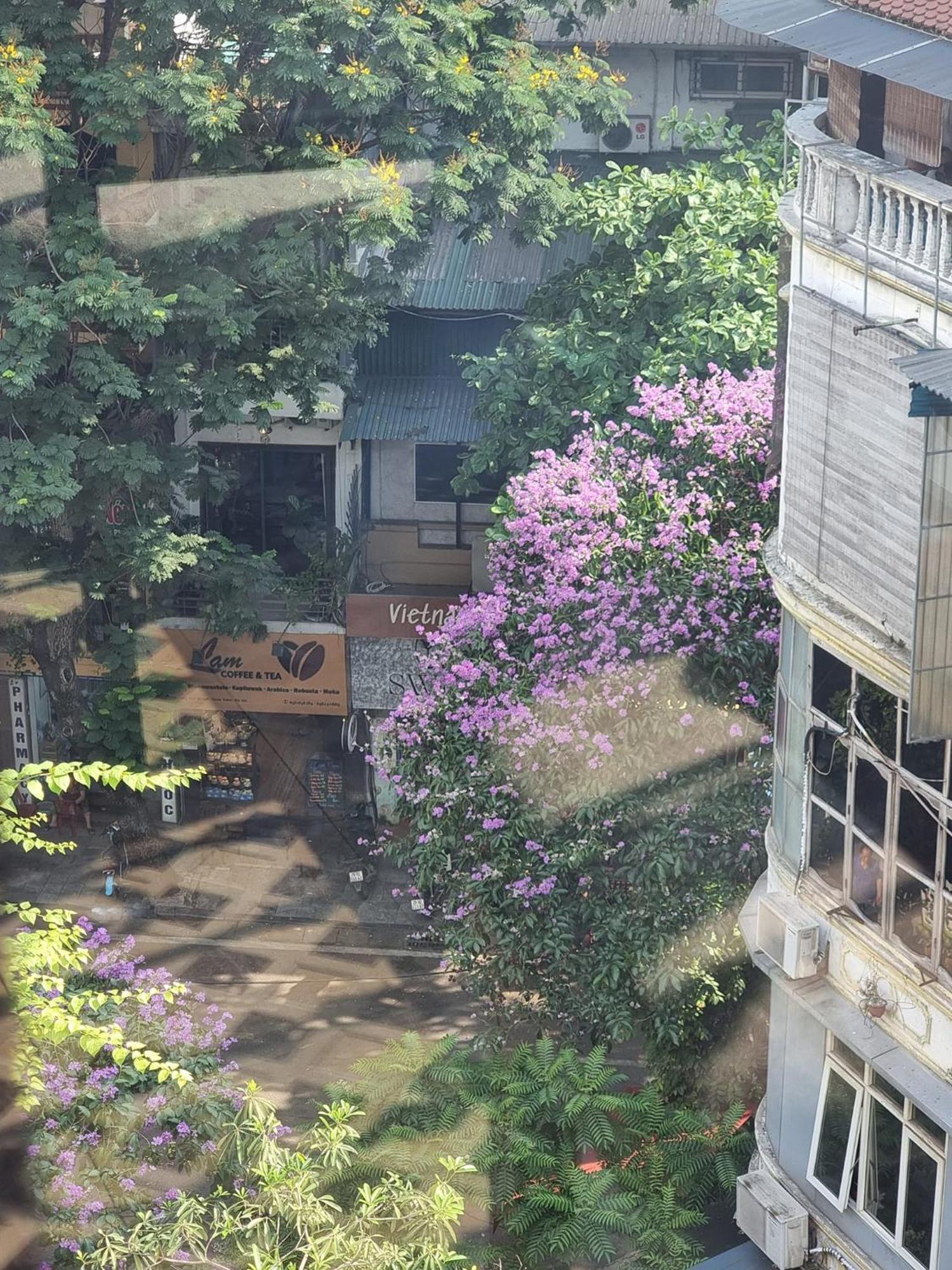 Hotel Golden Moon & Travel Hanoi
