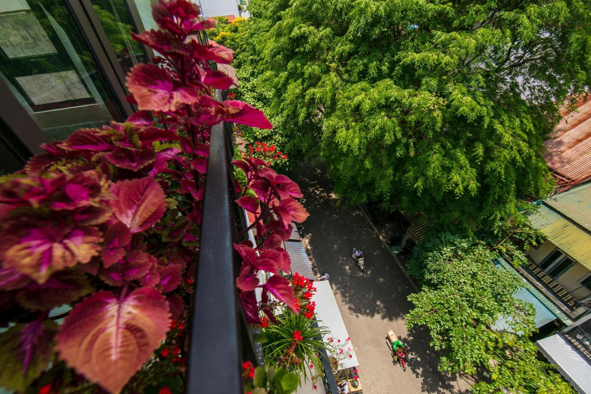 Trangtrang Luxury Hotel