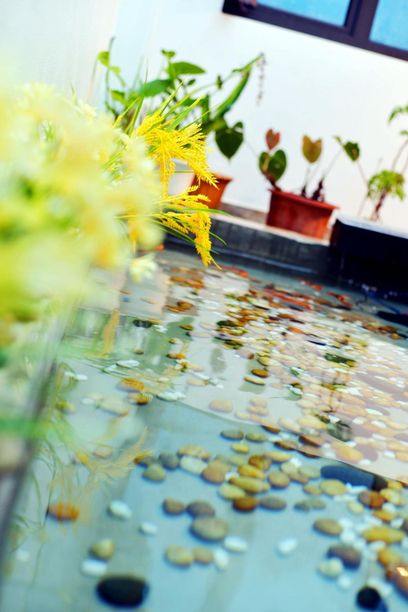 Wishhouse Apartment *