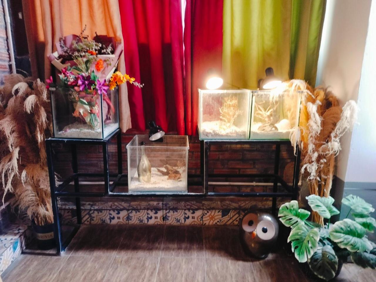 Hotel Cozy Fun 16