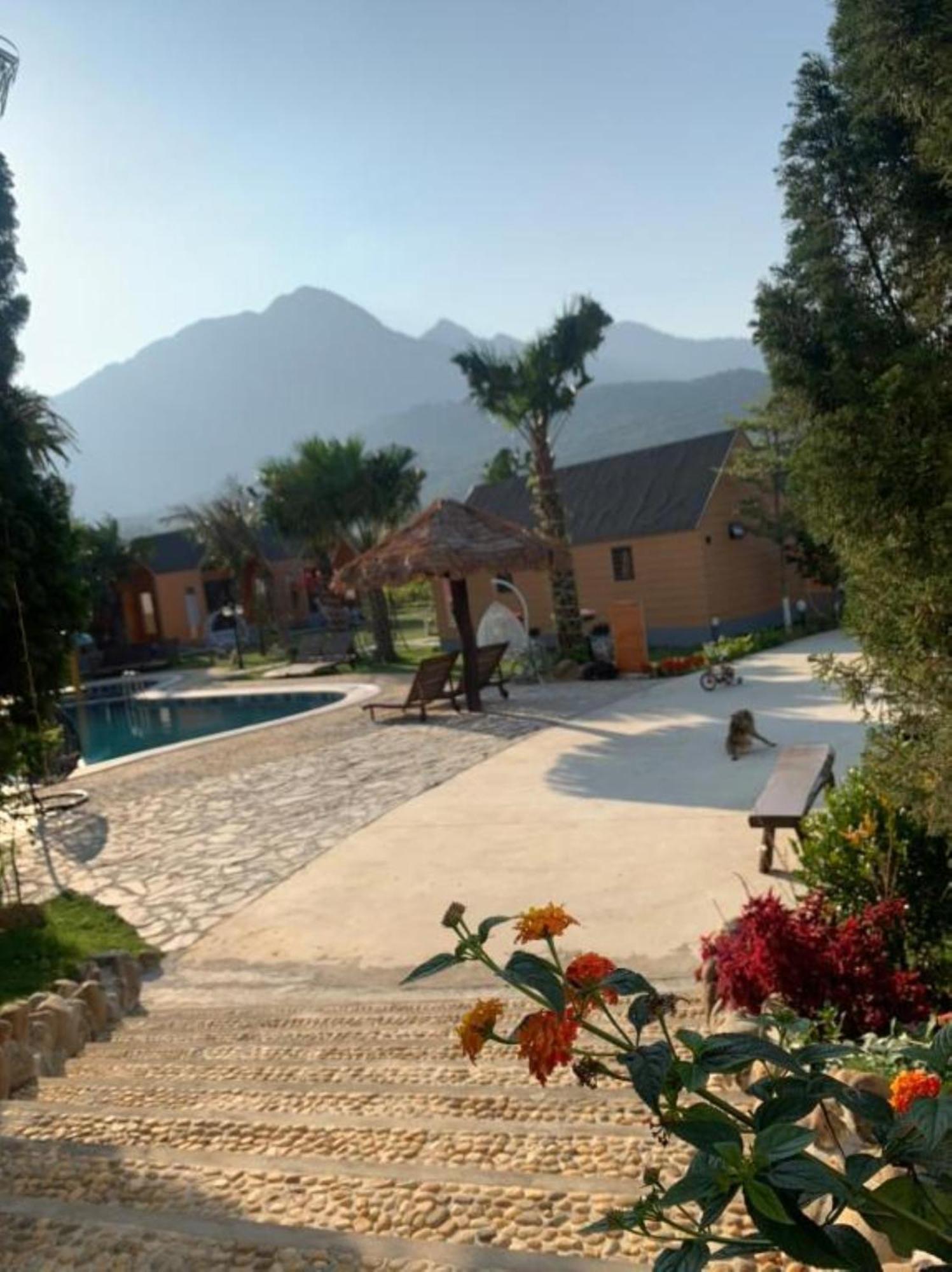Hoang Yen Garden Bavi - Venuestay *