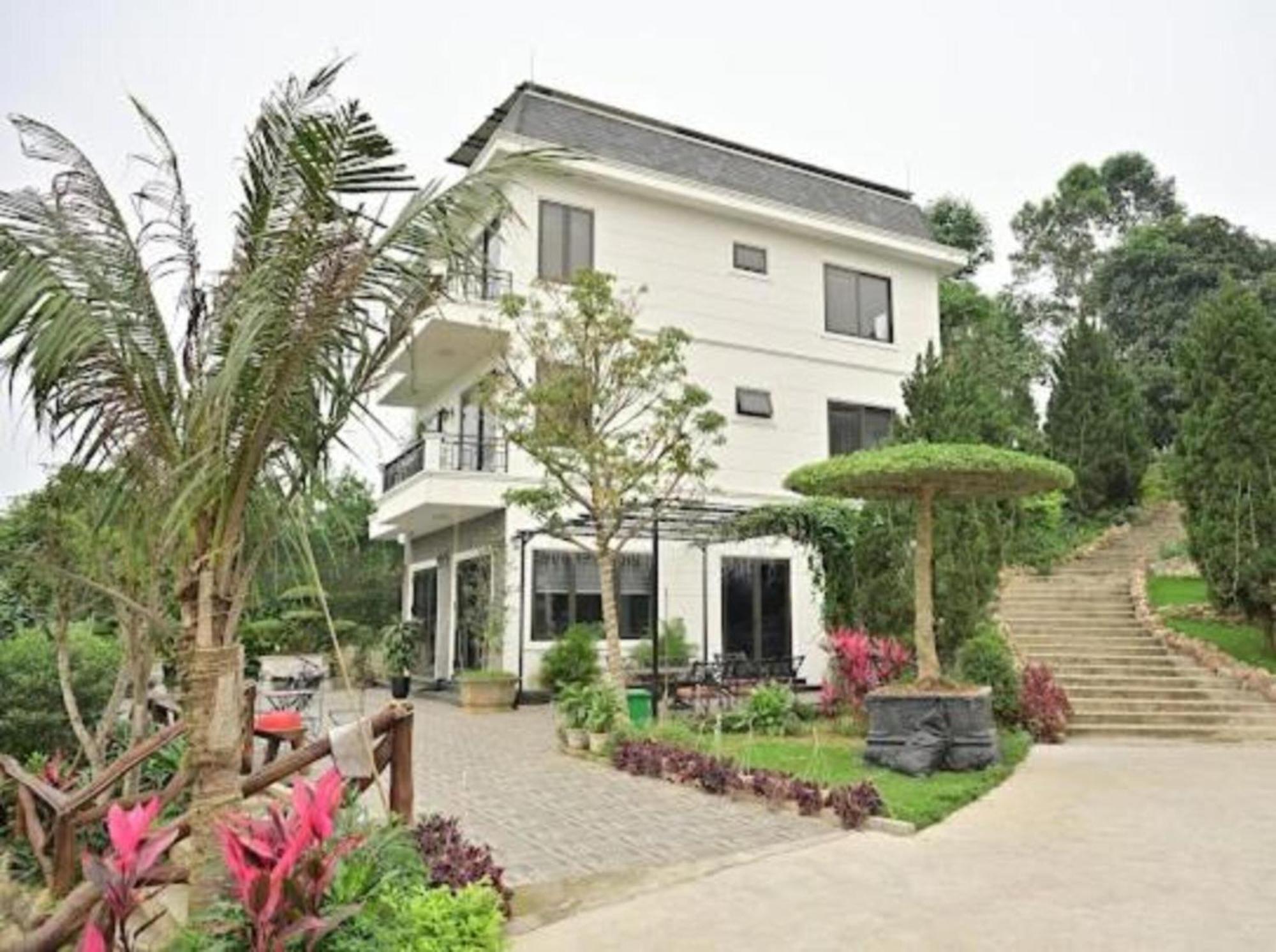 Hoang Yen Garden Bavi - Venuestay Homestay