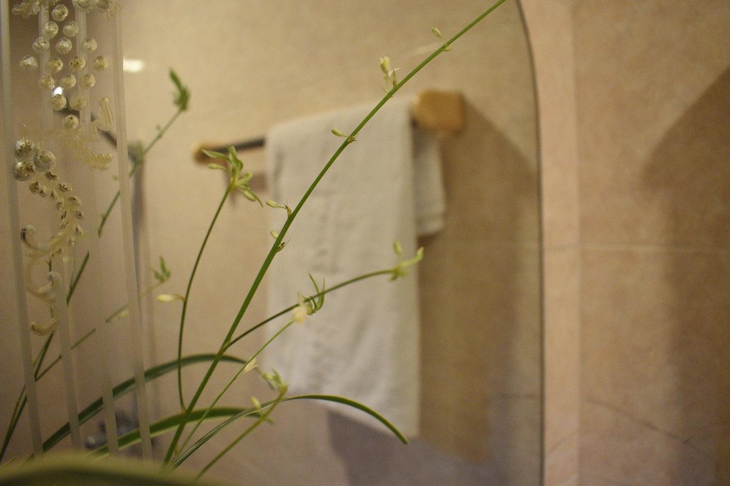 Phuong Trang Hostel