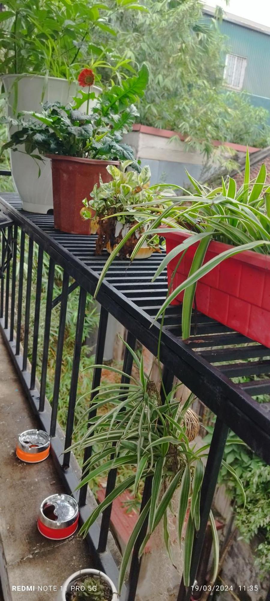 H2 Homestay Pho Co T3 Guest house Hanoi