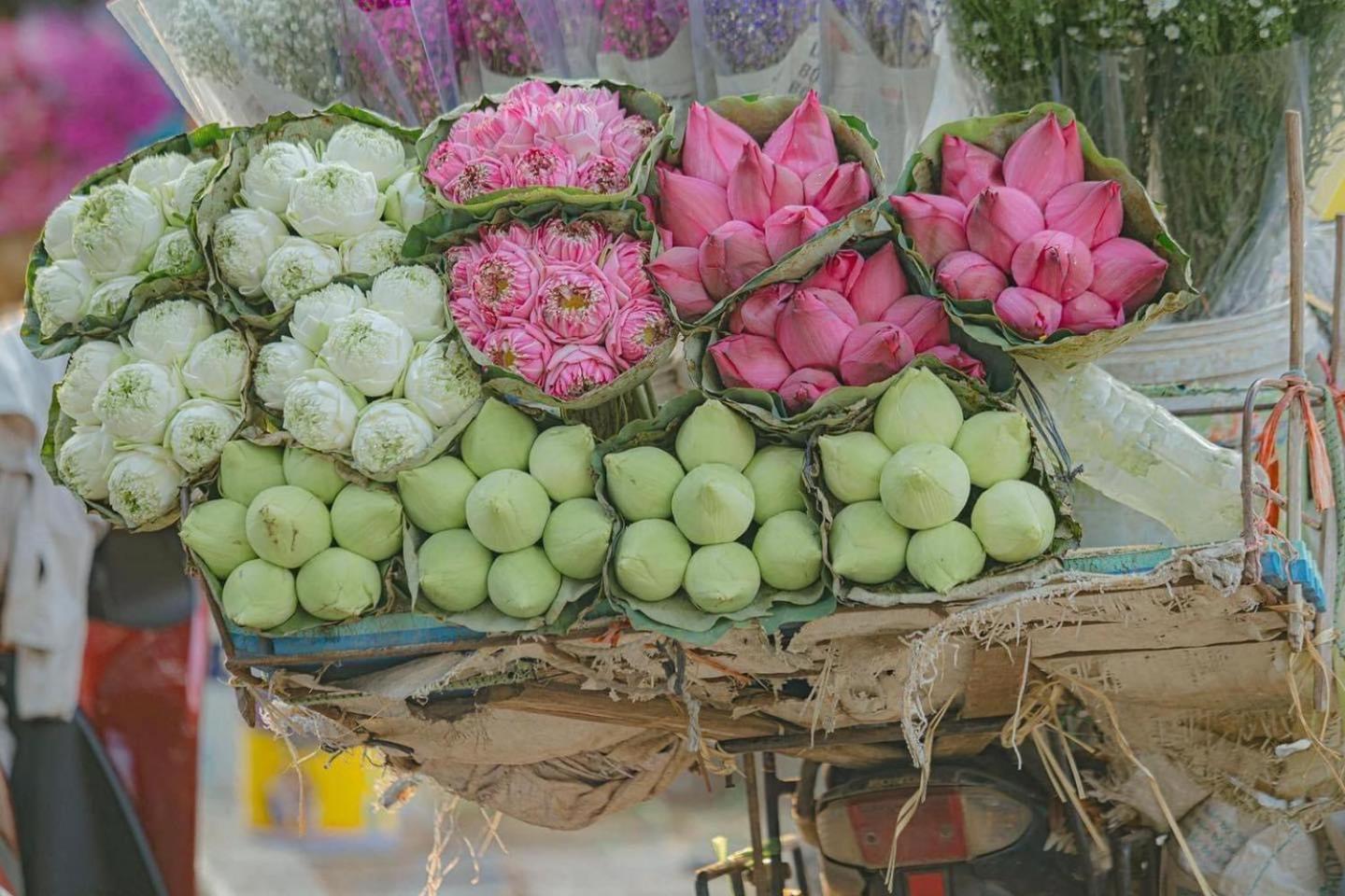 Old Quarter Autumn To Tich Ha Noi Apartment Hanoi